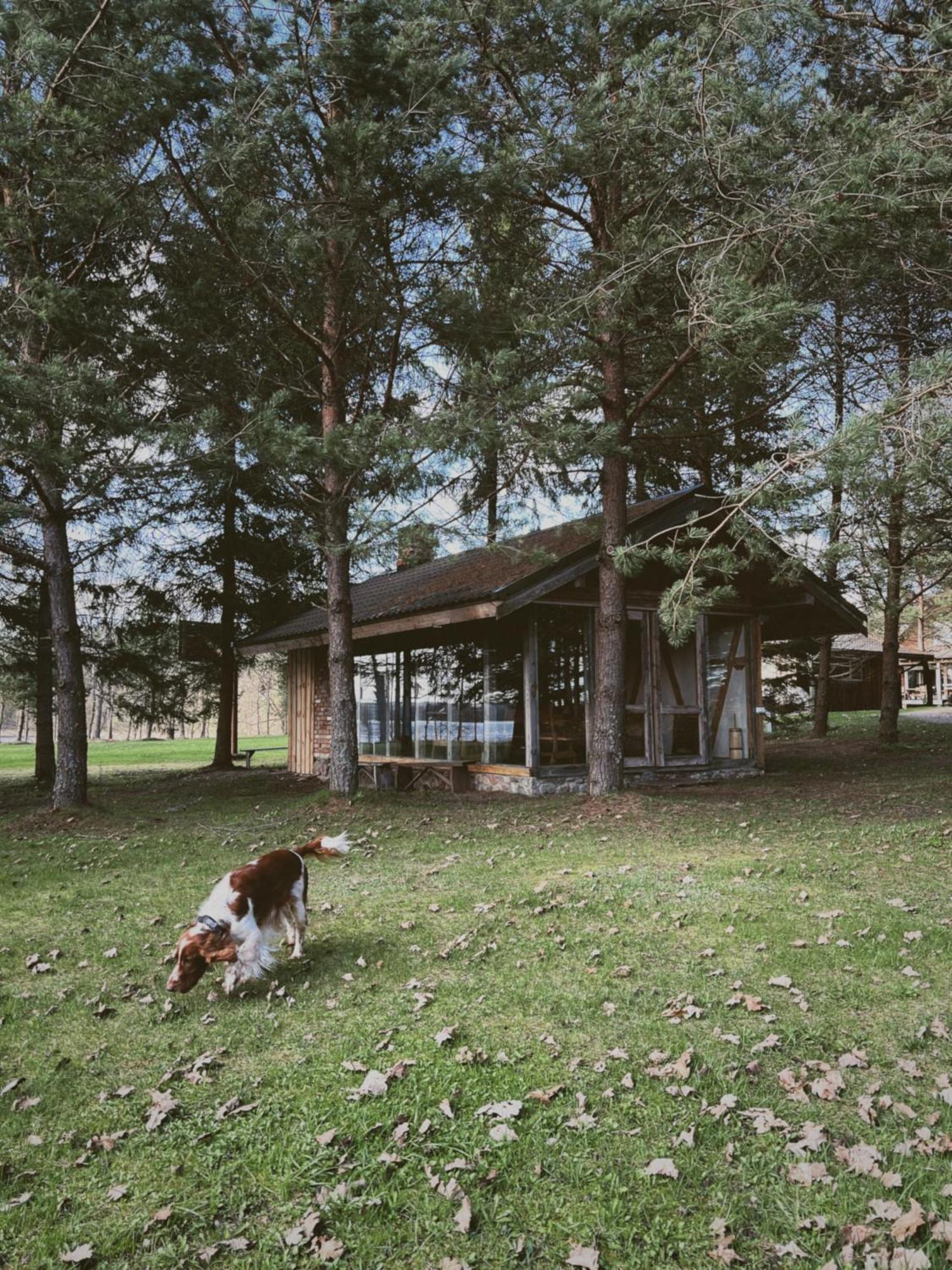 Pakaso Sodyba Kirdeikiai Extérieur photo